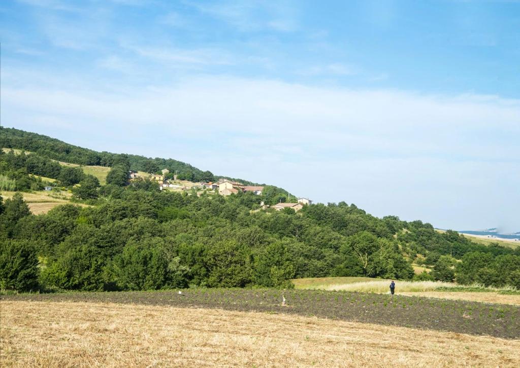 LE PITTURE casa di campagna room 4