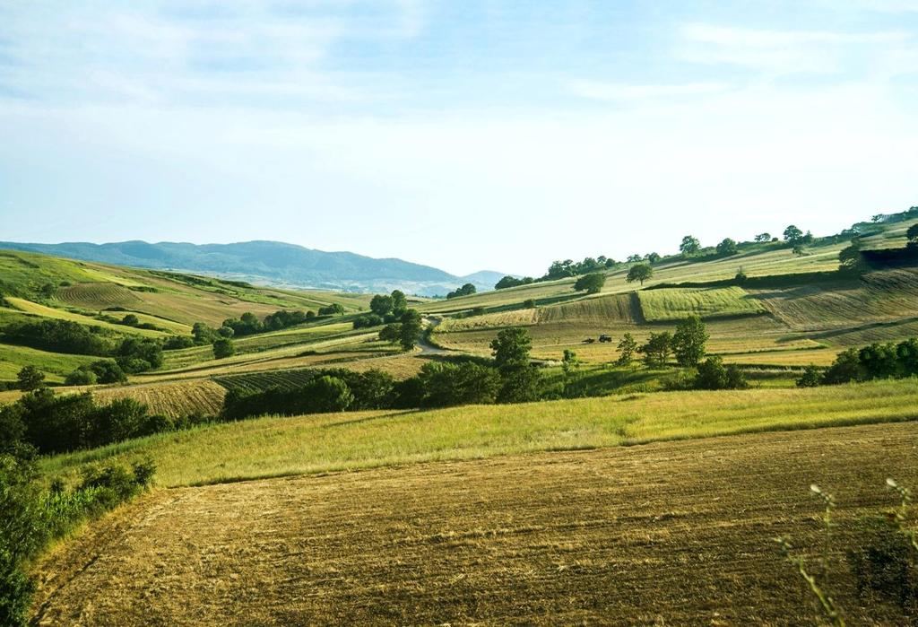 LE PITTURE casa di campagna room 5